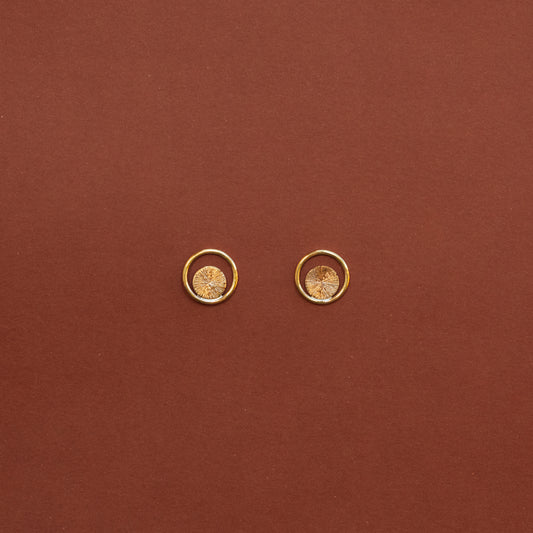 Sol Studs